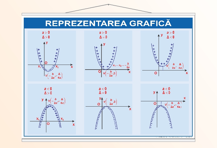 Reprezentarea grafică - 70x100