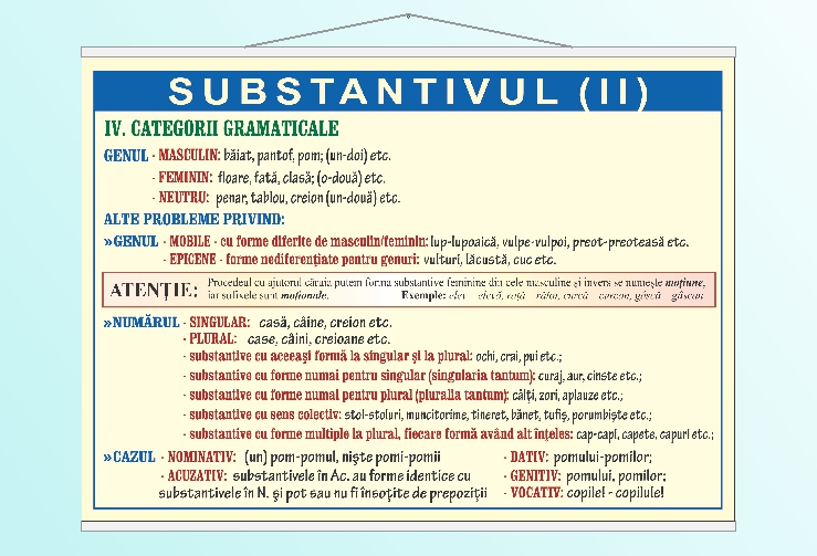 Substantivul (II) - 70x100