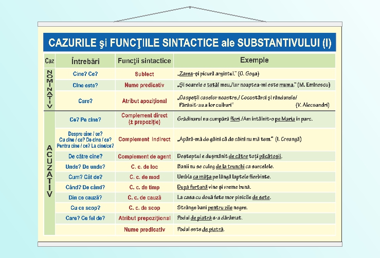 Cazurile și funcțiile sintactice ale substantivului (I) - 70x100