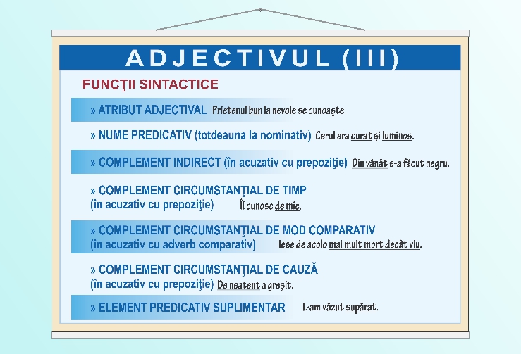 Adjectivul (III) - 50x70