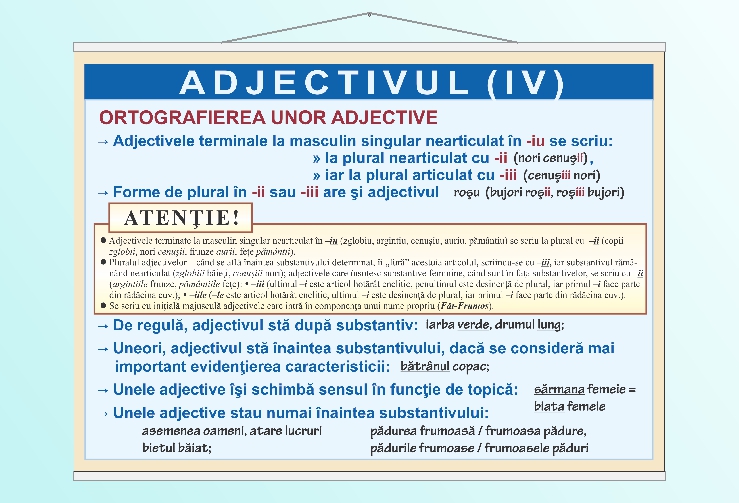 Adjectivul (IV) - 70x100