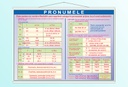 Pronumele (I) - 70x100