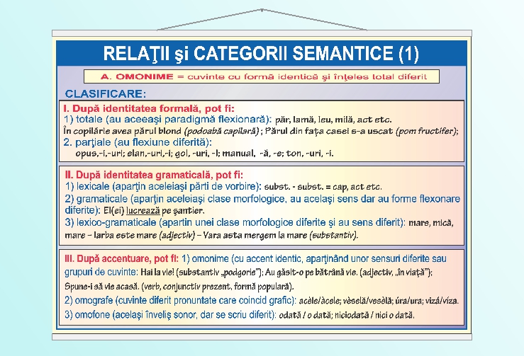 Relatii si categorii semantice - omonime - 50x70