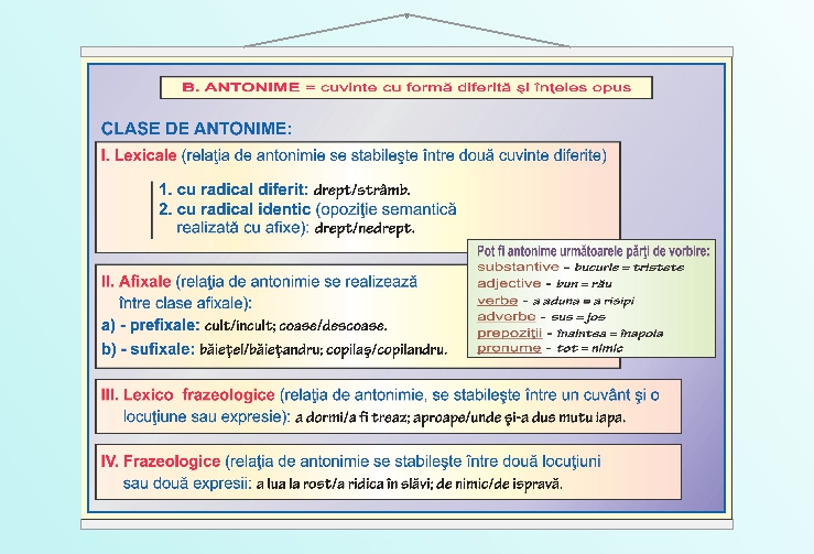 Relatii si categorii semantice - antonime - 50x70