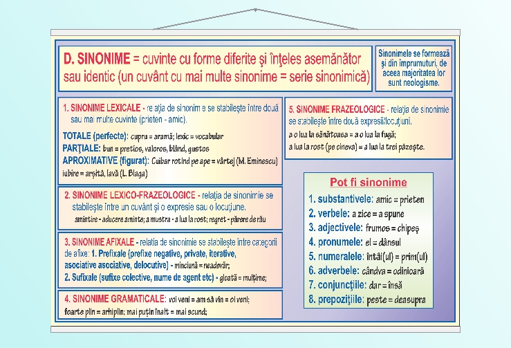 Relatii si categorii semantice - sinonime - 50x70