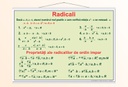 Radicali - 70x100