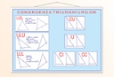 Congruența triunghiurilor - 50x70