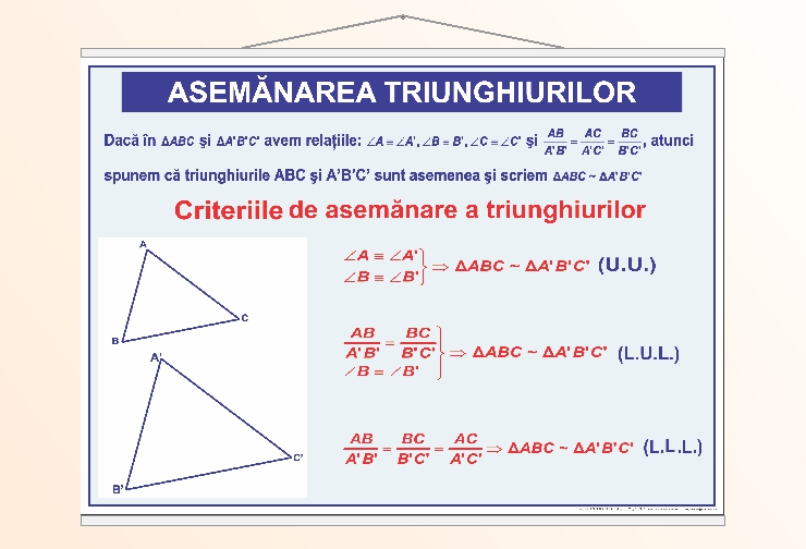 Asemănarea triunghiurilor - 50x70