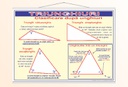 Triunghiuri. Clasificare după unghiuri - 70x100