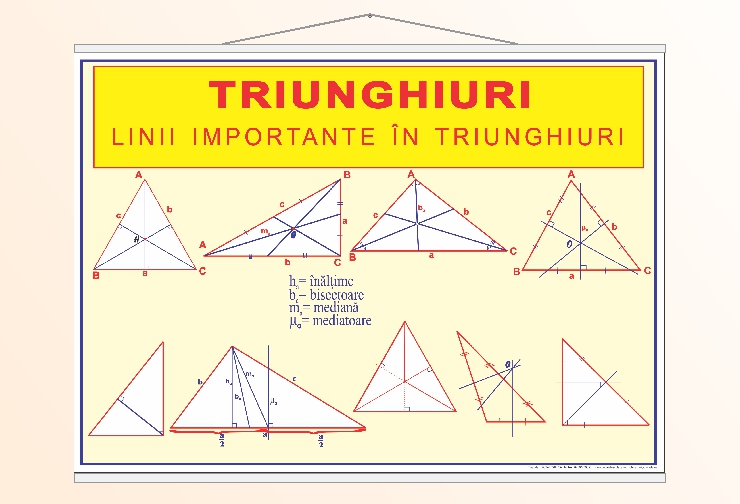 Triunghiuri. Linii importante în triunghiuri - 70x100