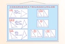 Congruența triunghiurilor - 70x100