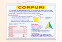 Corpuri - 1 - 50x70