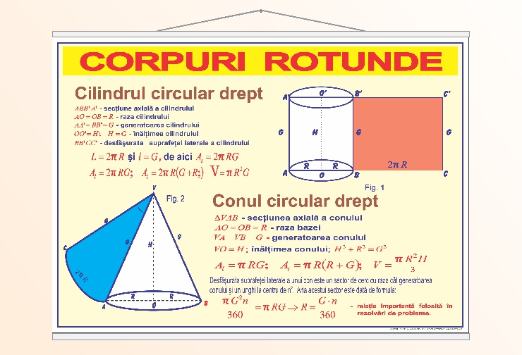 Corpuri rotunde - 1 - 50x70