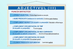 Adjectivul (III) - 70x100