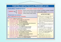 Funcțiile sintactice ale pronumelui (III) - 70x100