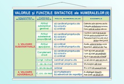 Valorile și funcțiile sintactice ale numeralului (II) - 50x70