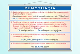 Punctuația - 70x100