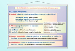 Relatii si categorii semantice - antonime - 50x70
