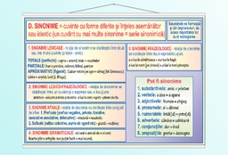 Relatii si categorii semantice - sinonime - 50x70