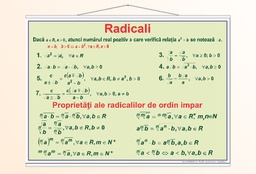 Radicali - 70x100