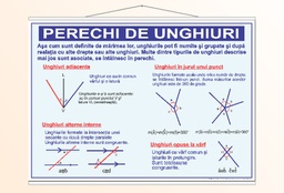 Perechi de unghiuri - 1 - 70x100