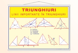 Triunghiuri. Linii importante în triunghiuri - 50x70