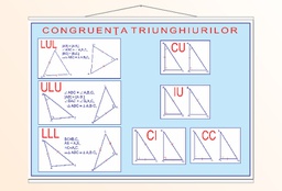 Congruența triunghiurilor - 50x70