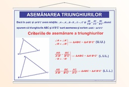 Asemănarea triunghiurilor - 70x100