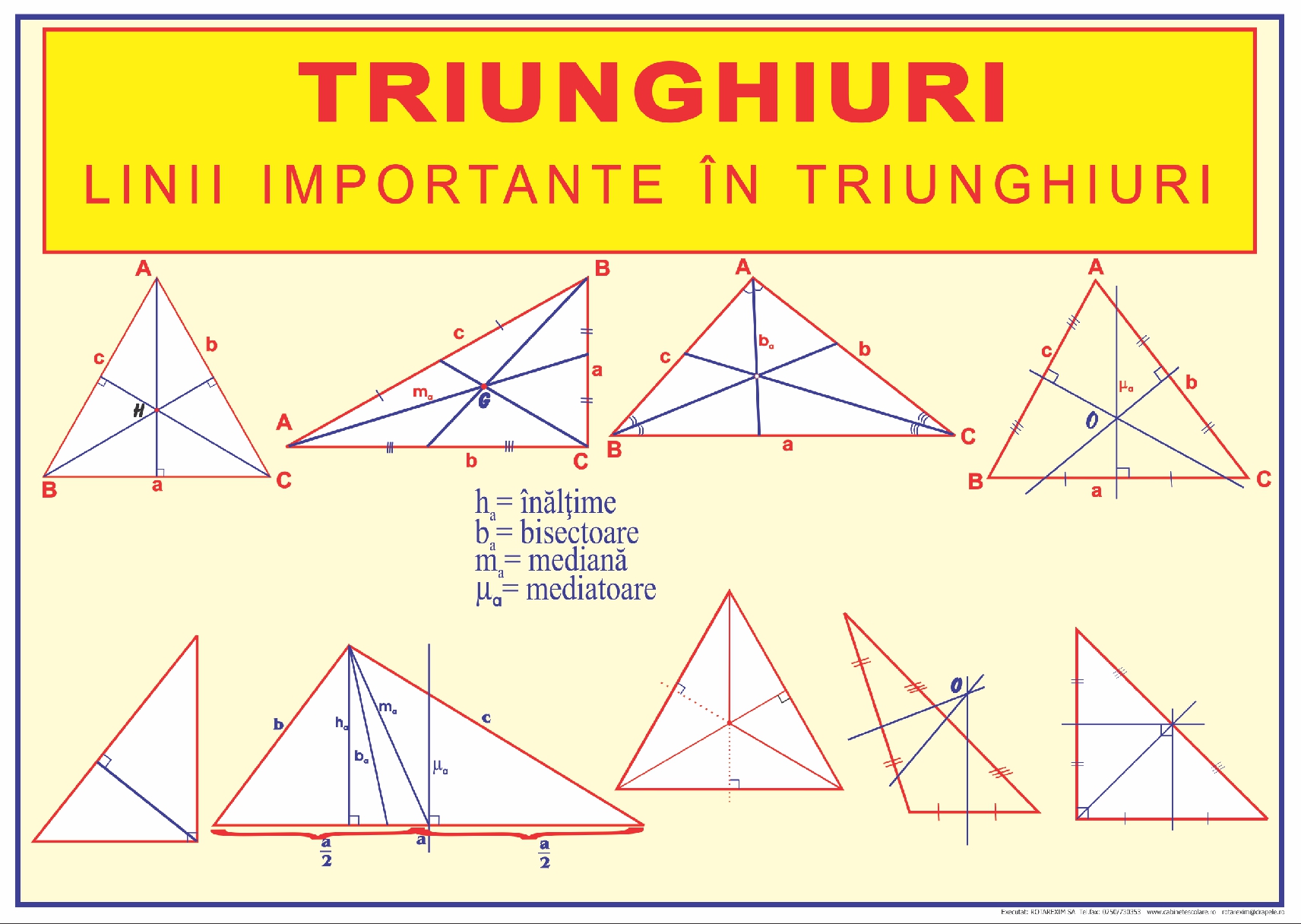 Triunghiuri. Linii importante în triunghiuri.
